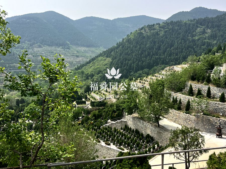 福舜园公墓购墓流程