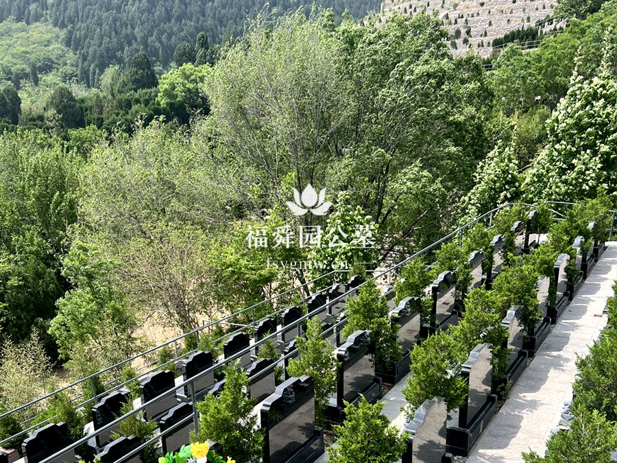 济南福舜园公墓环境实拍